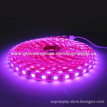 Indoor & Outdoor Lighting Blue Color 60-LED 3528 5050 SMD Flexible LED Strip, Low-power Consumption